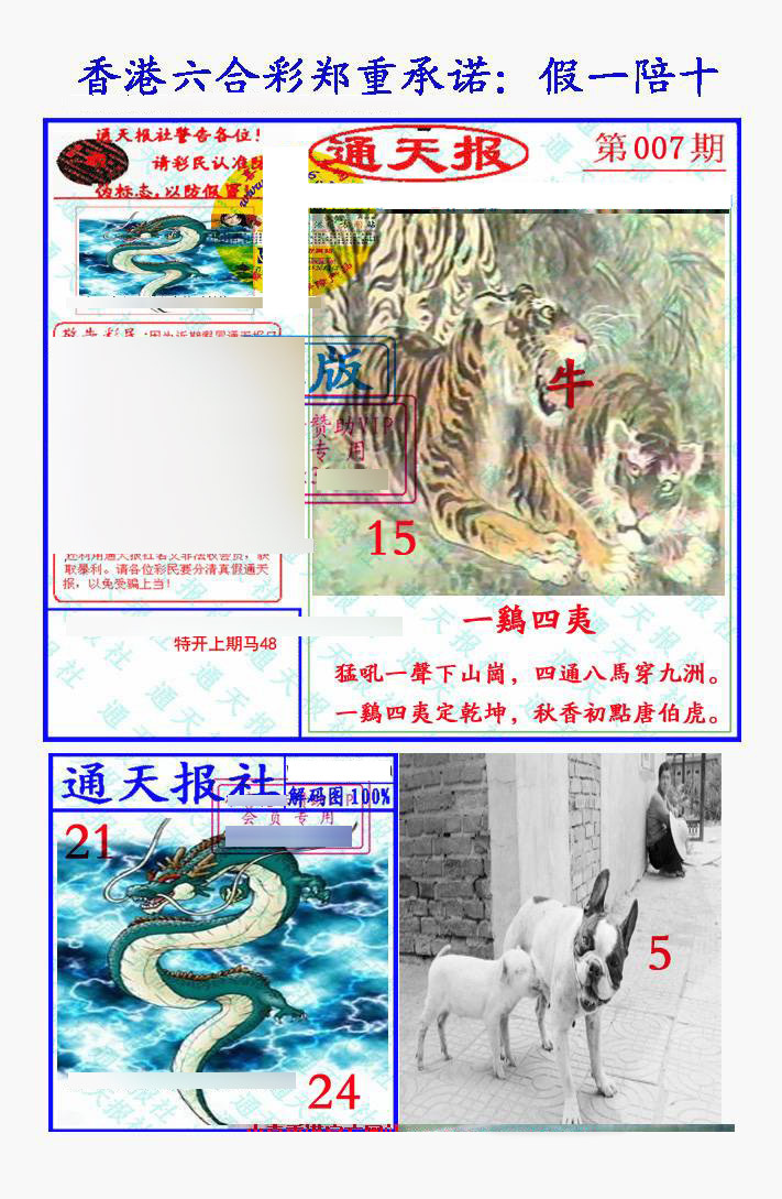 007期假一陪十通天报[图]